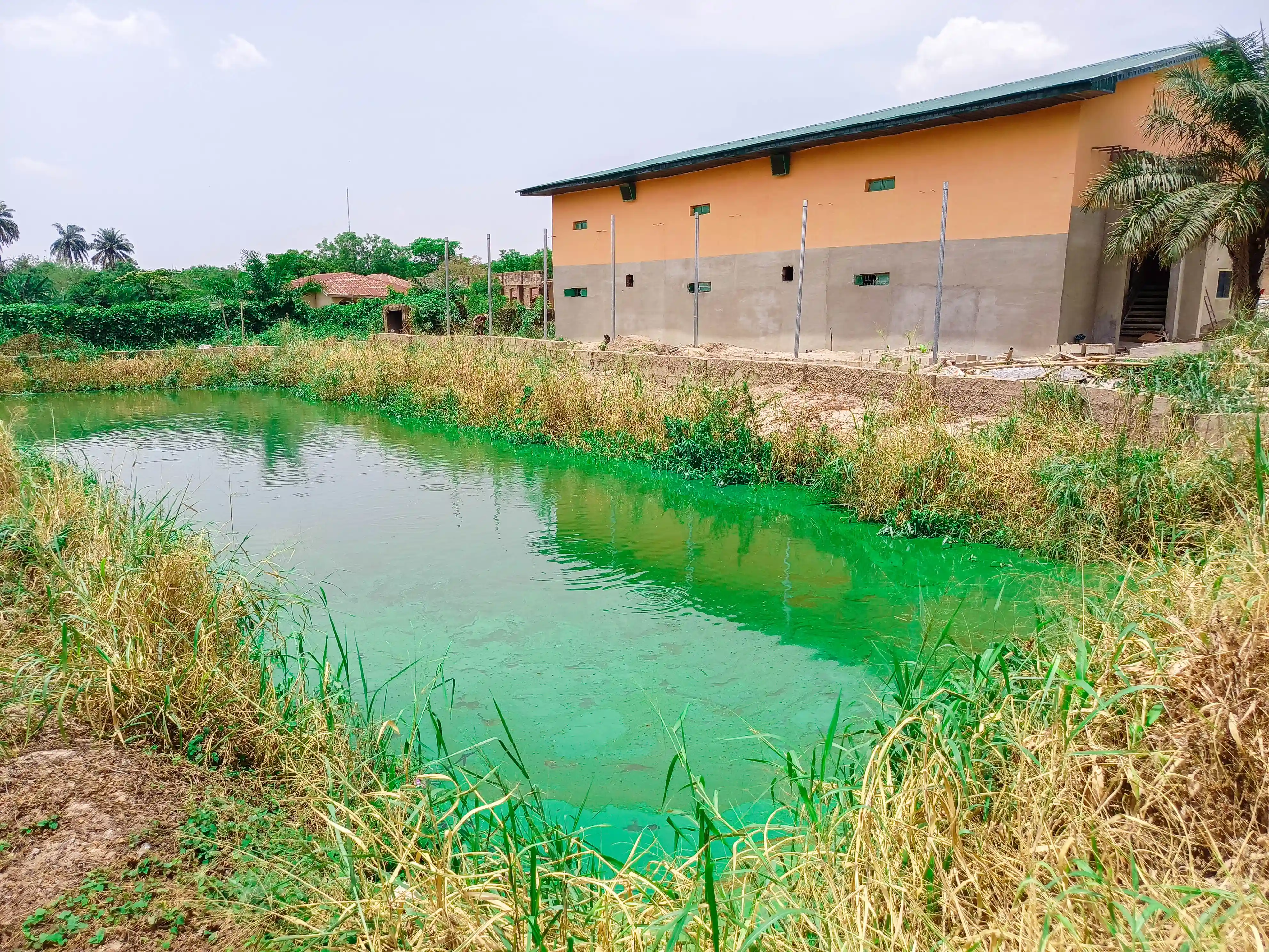 Fisheries & Aquaculture